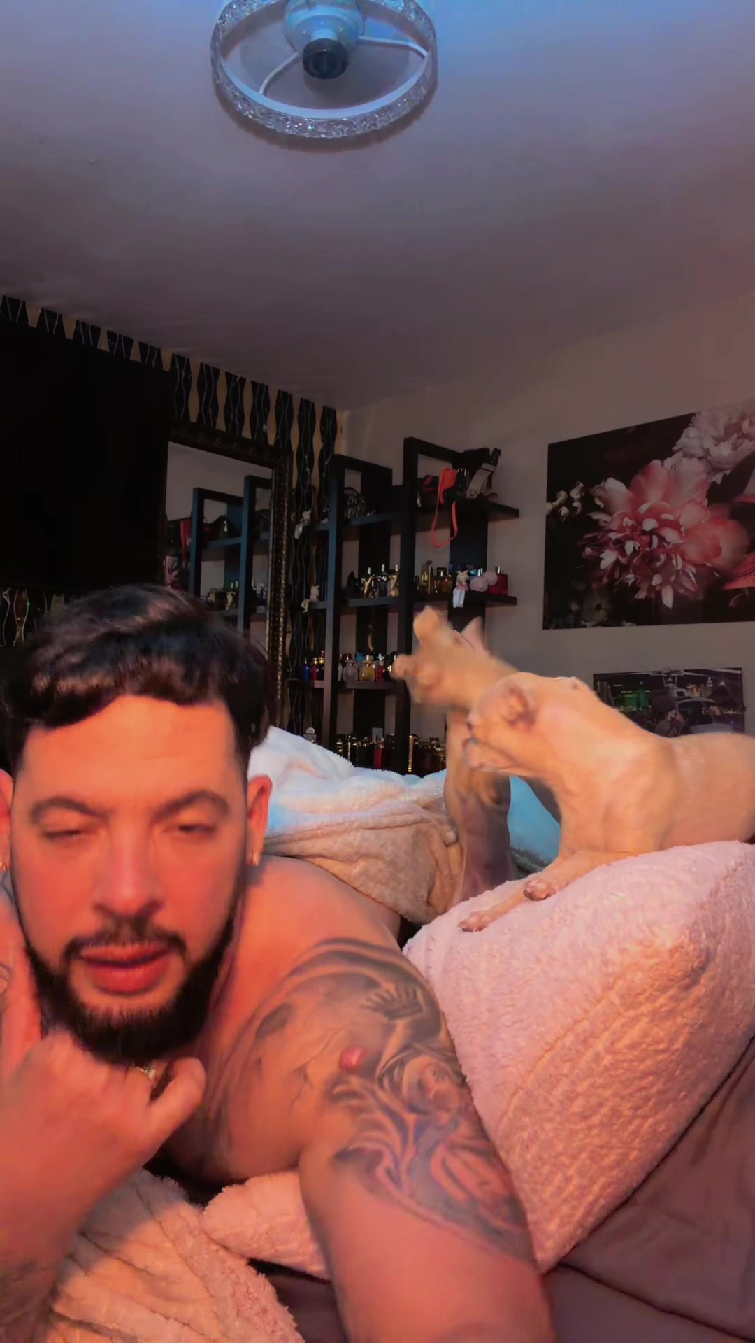 @Eddy Suárez, Papá de Cebolla🧅