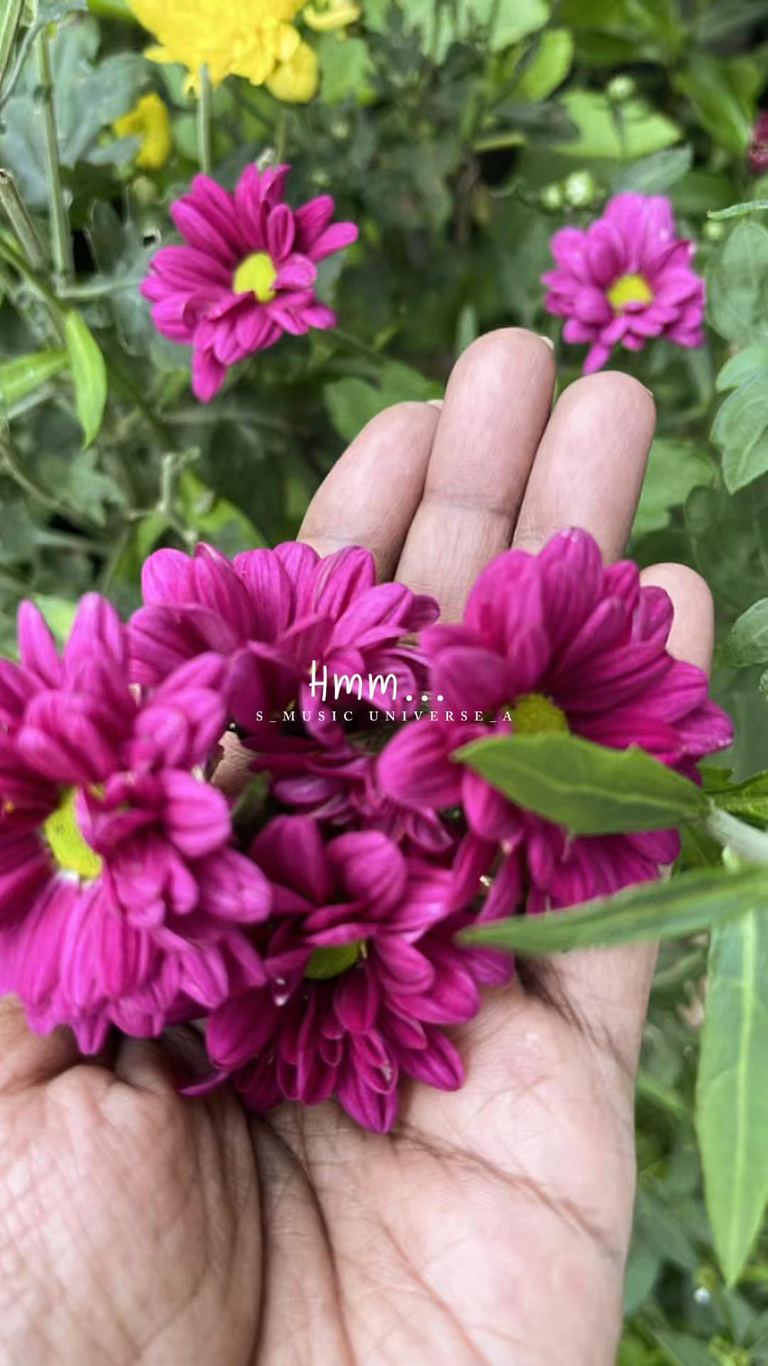 @Yamunadevi (RajadeviKitchen)