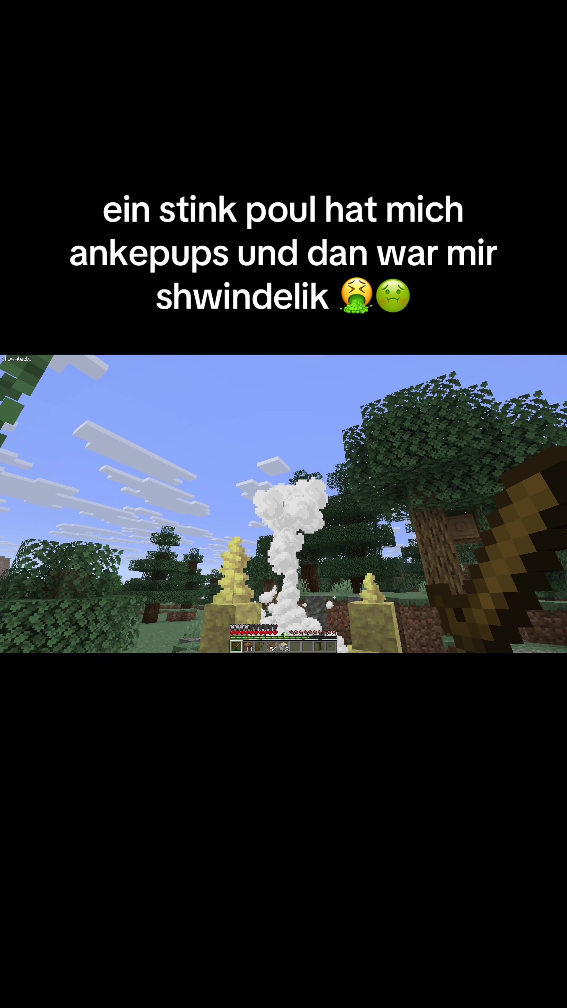 @minecraftalexcool33