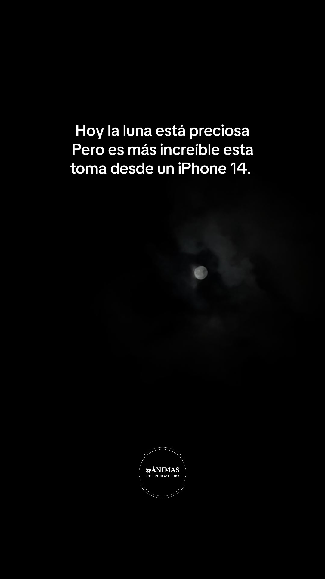 @Sebas_animasdelpurgatorio