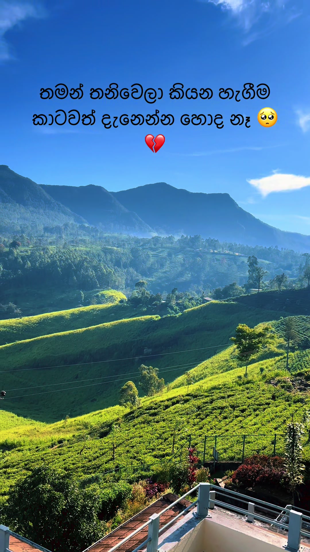 @anu ❤️🌹