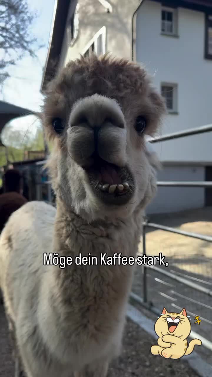 @...
