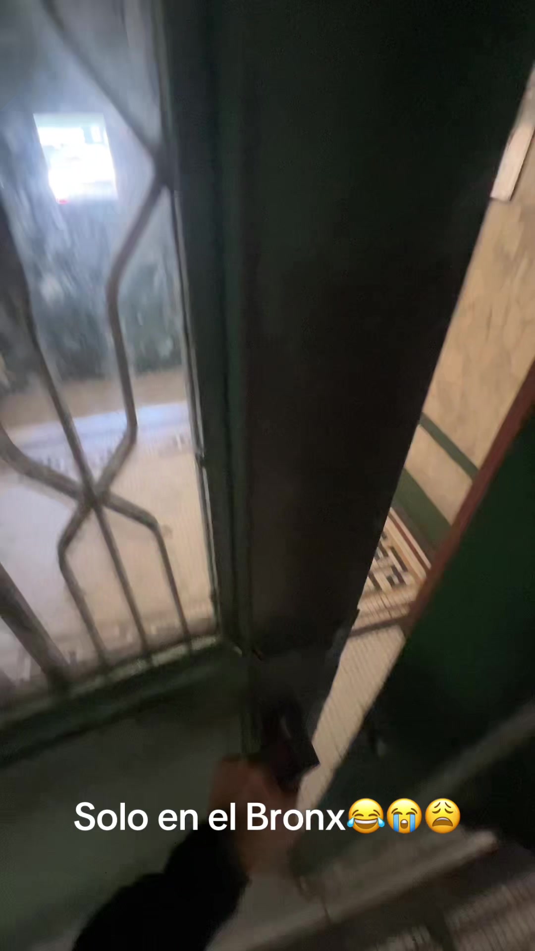 @Elchulooo0🧸🇩🇴🗽