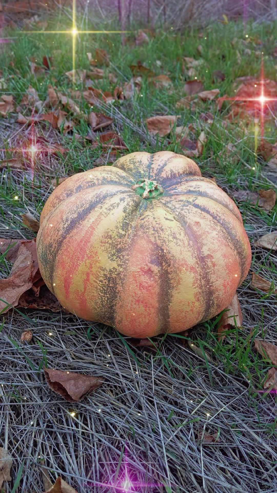@НікоСад GARDEN DECOR