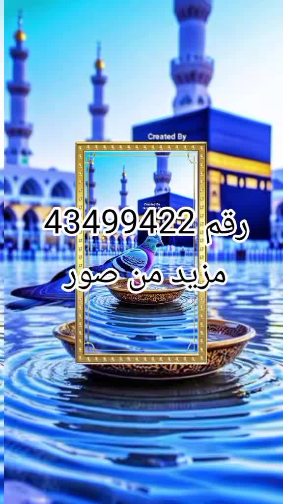 @تركته كارفور