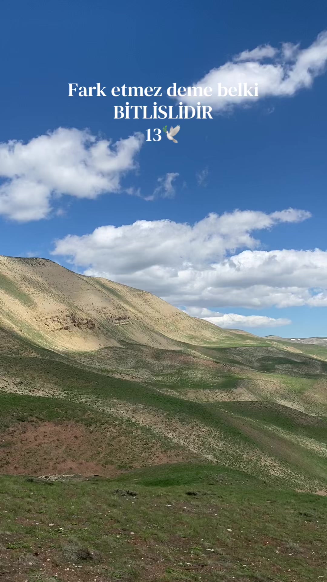 @E.&Ccedil;