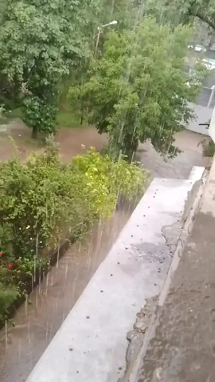 @Только правда