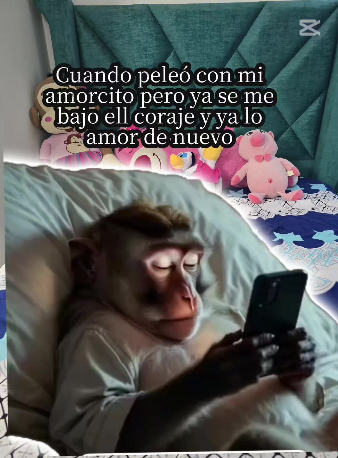 @Barbara Roo