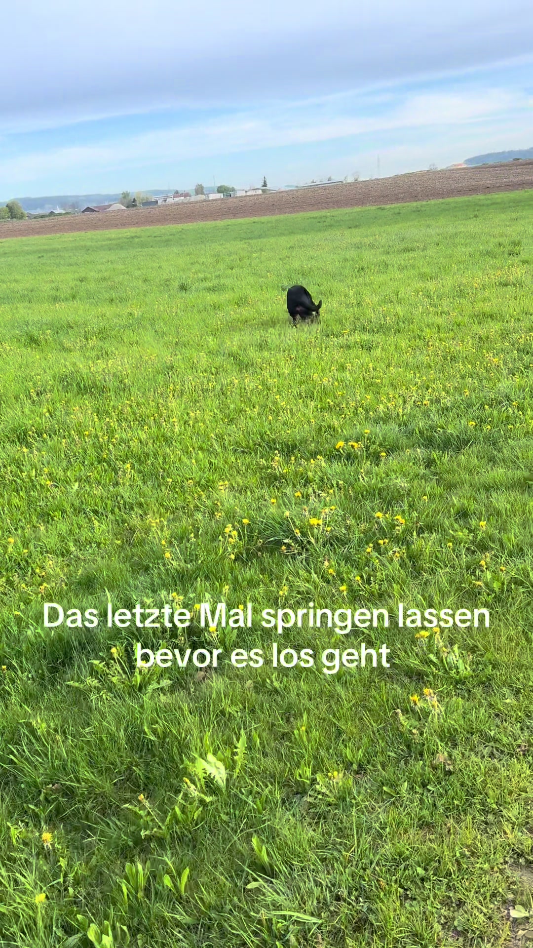 @teufels_tochter_666