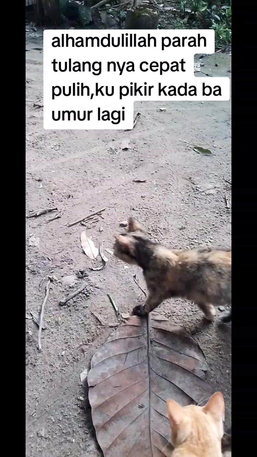 @icuy761