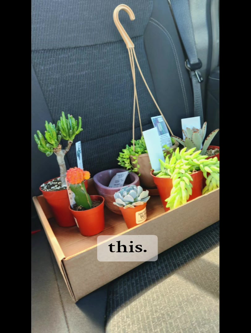 @✨️Pretty Crafty🙌🪄(KayyyDeee)