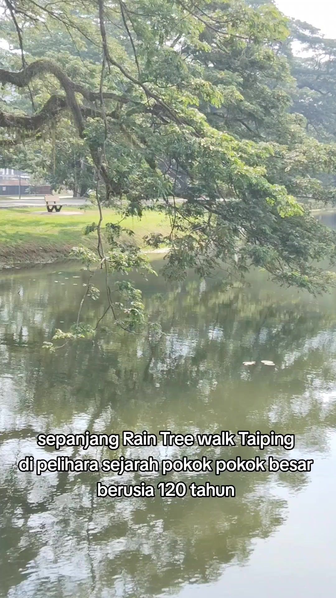 @FAKIR TEH TARIK JUARA MALAYSIA