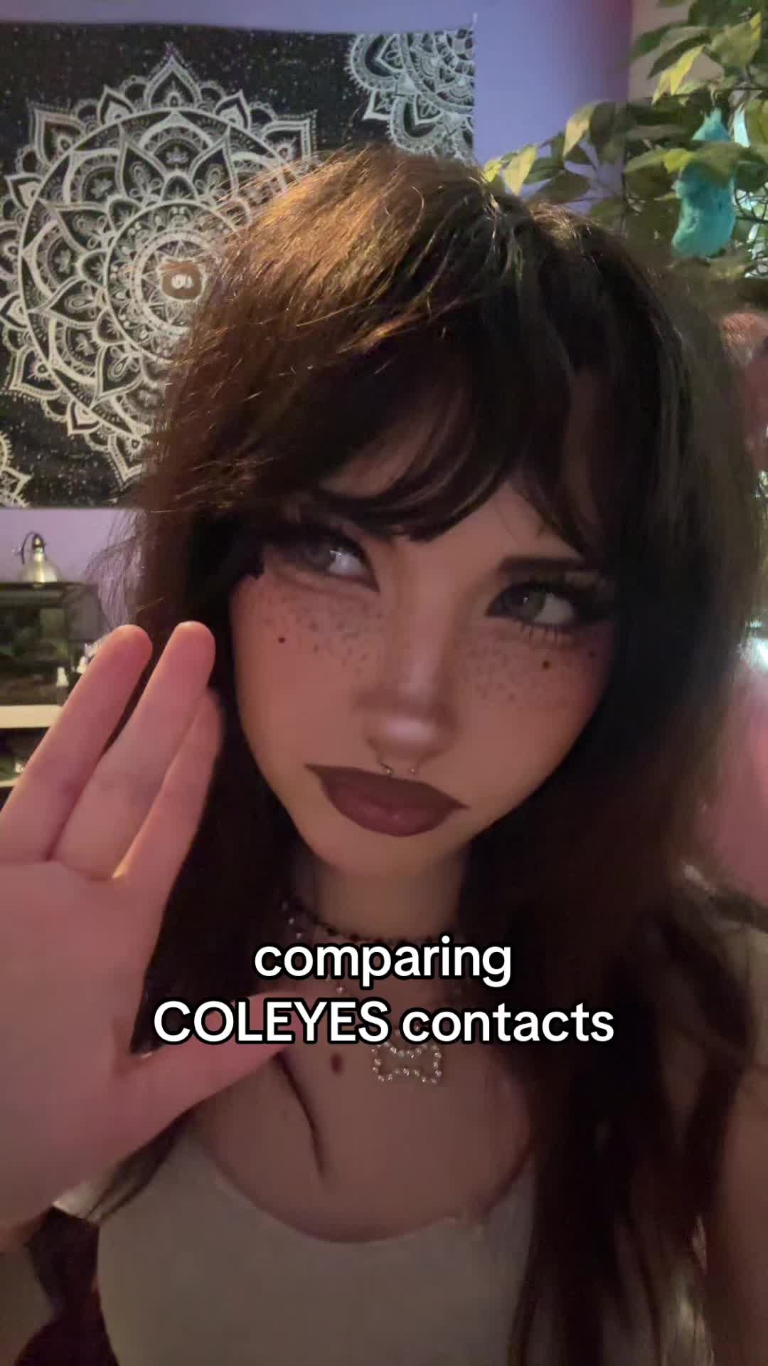 @bites