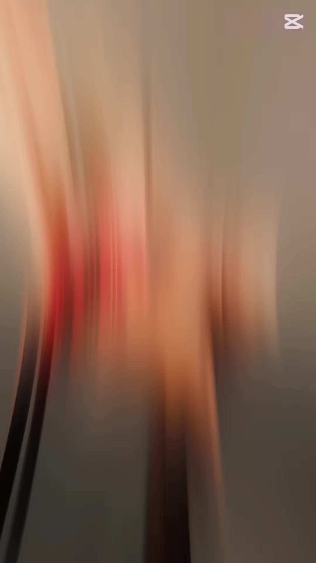 @FotoHane