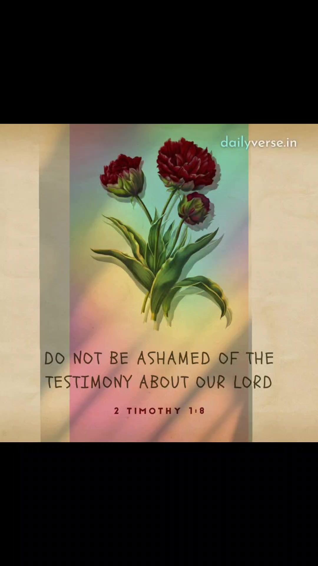 @✝️🤍Joy✝️🤍