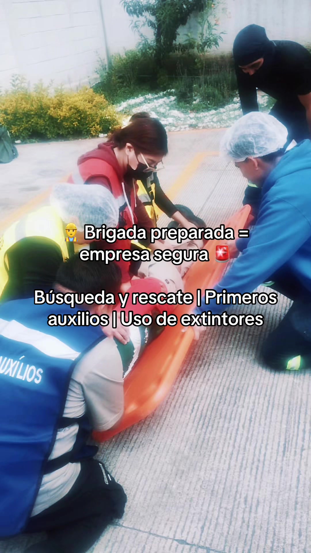 @AIPIECIFIRE EXTINTORES