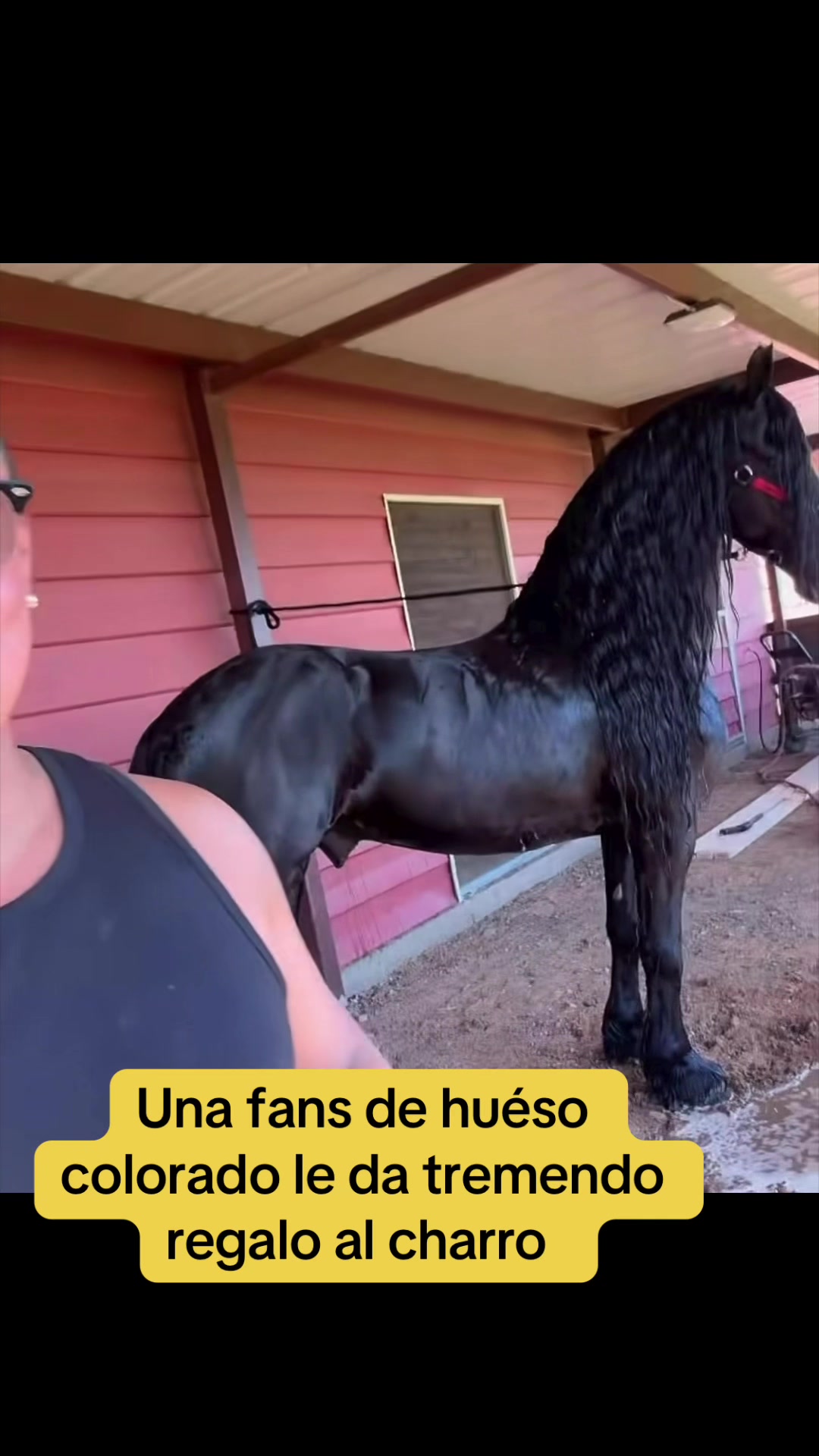 @EL PERRO 69 🐕&zwj;🦺