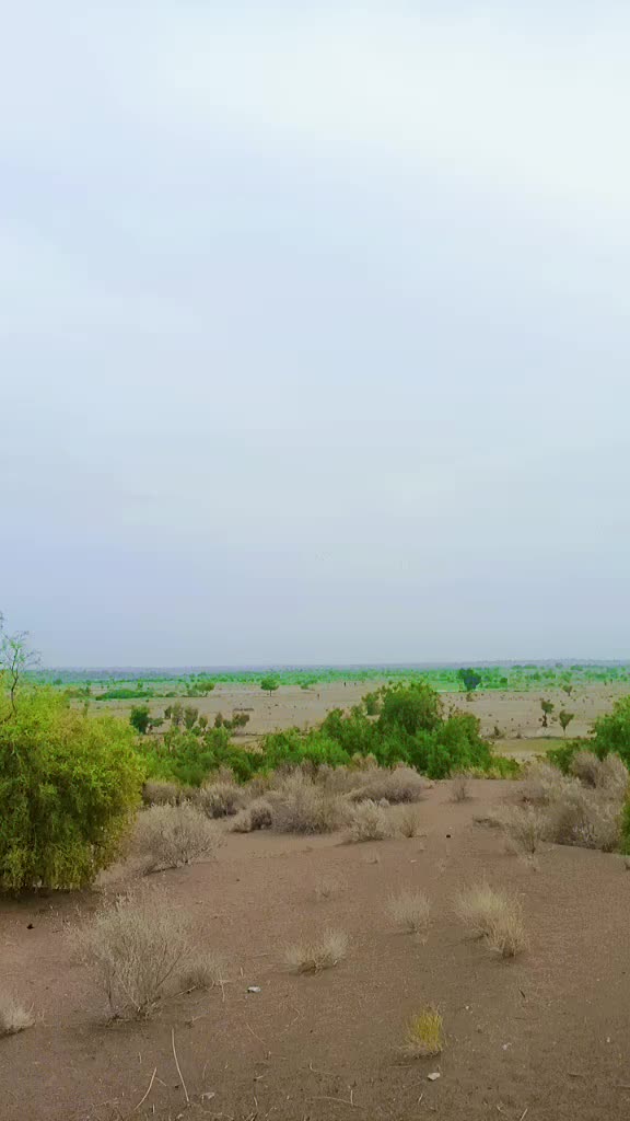 @seebano 76/