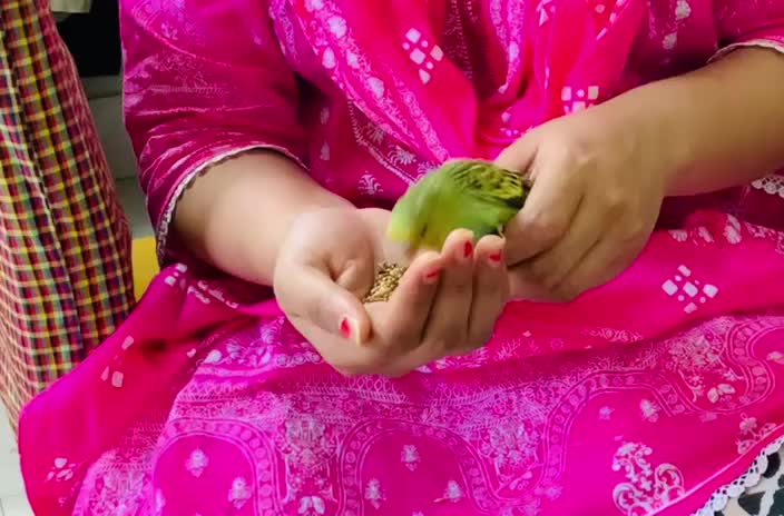 @Samsad Jahan Mim