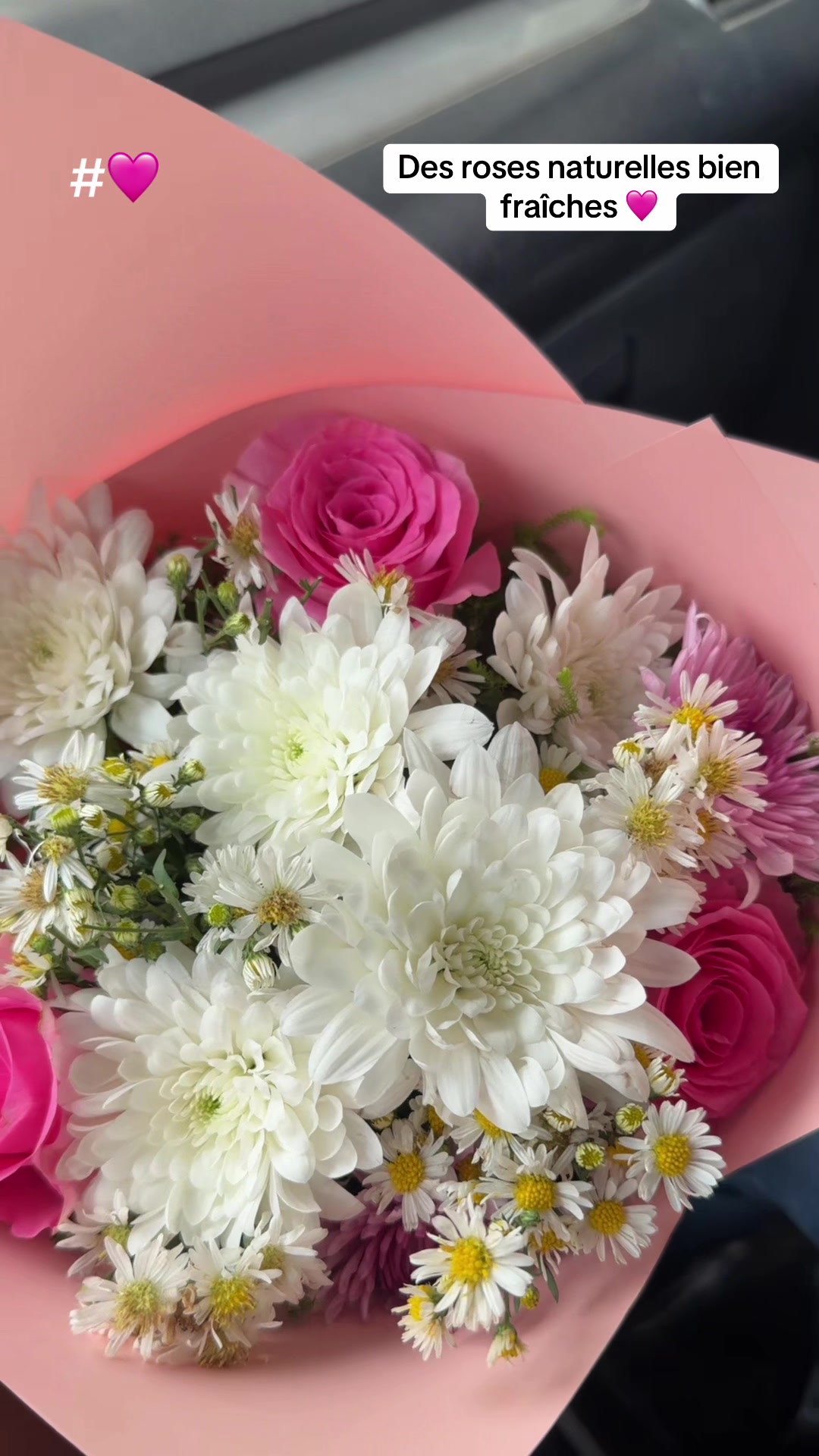 @La Vie en Rose225 💐