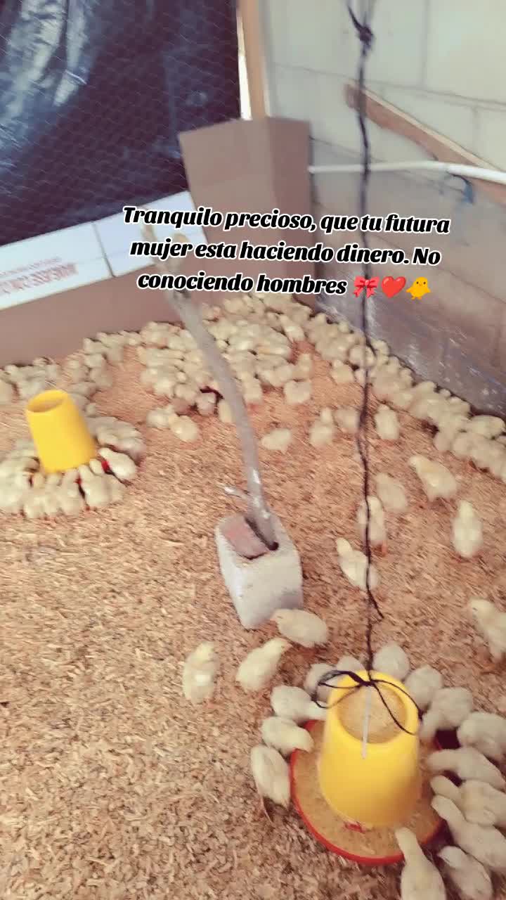 @ElyAlonzo