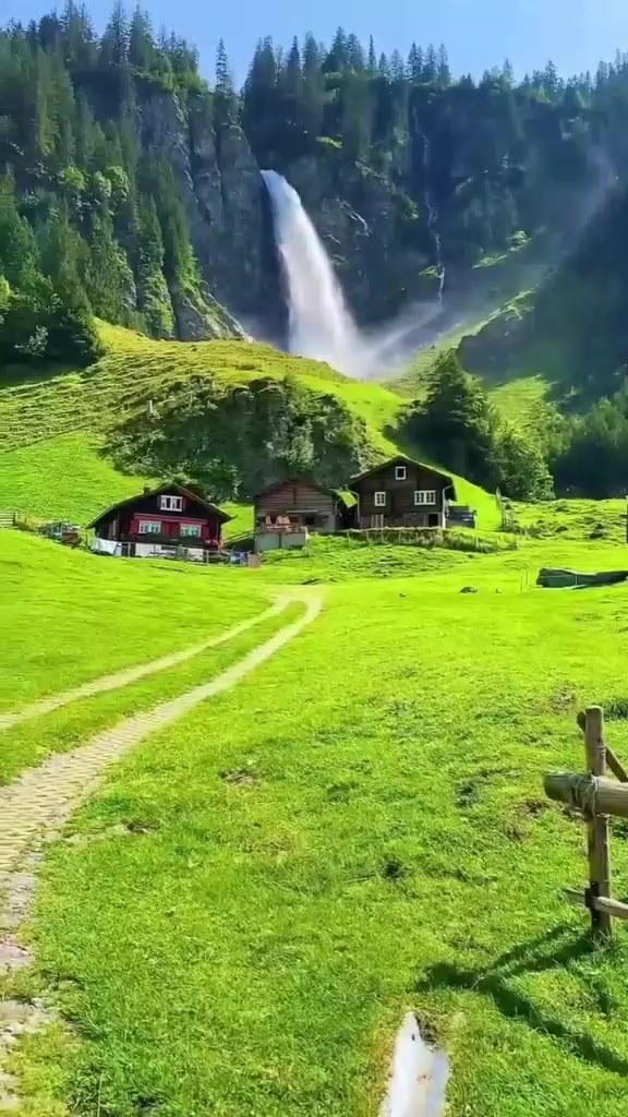 @premkumari1529