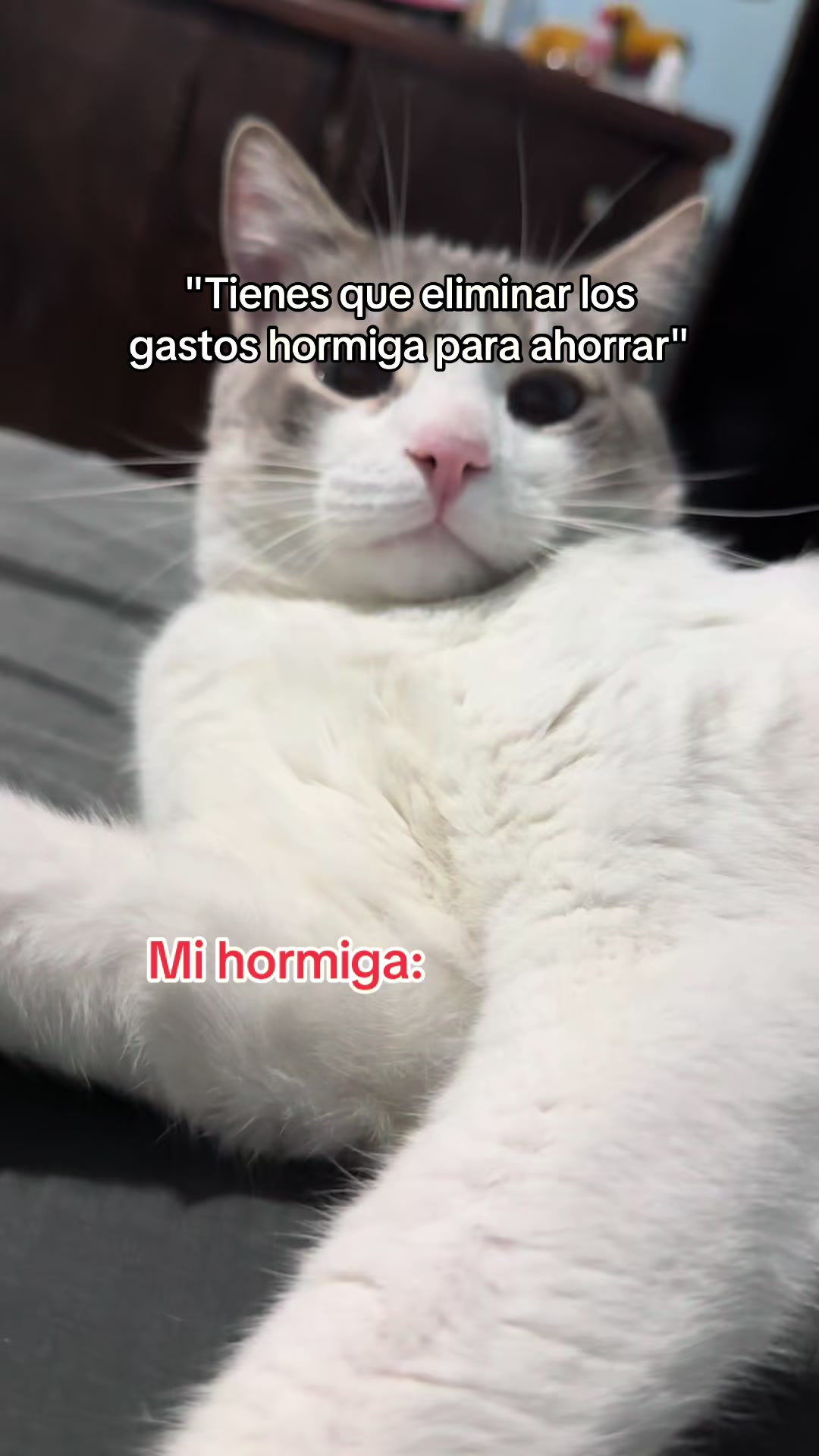 @Angel Diaz