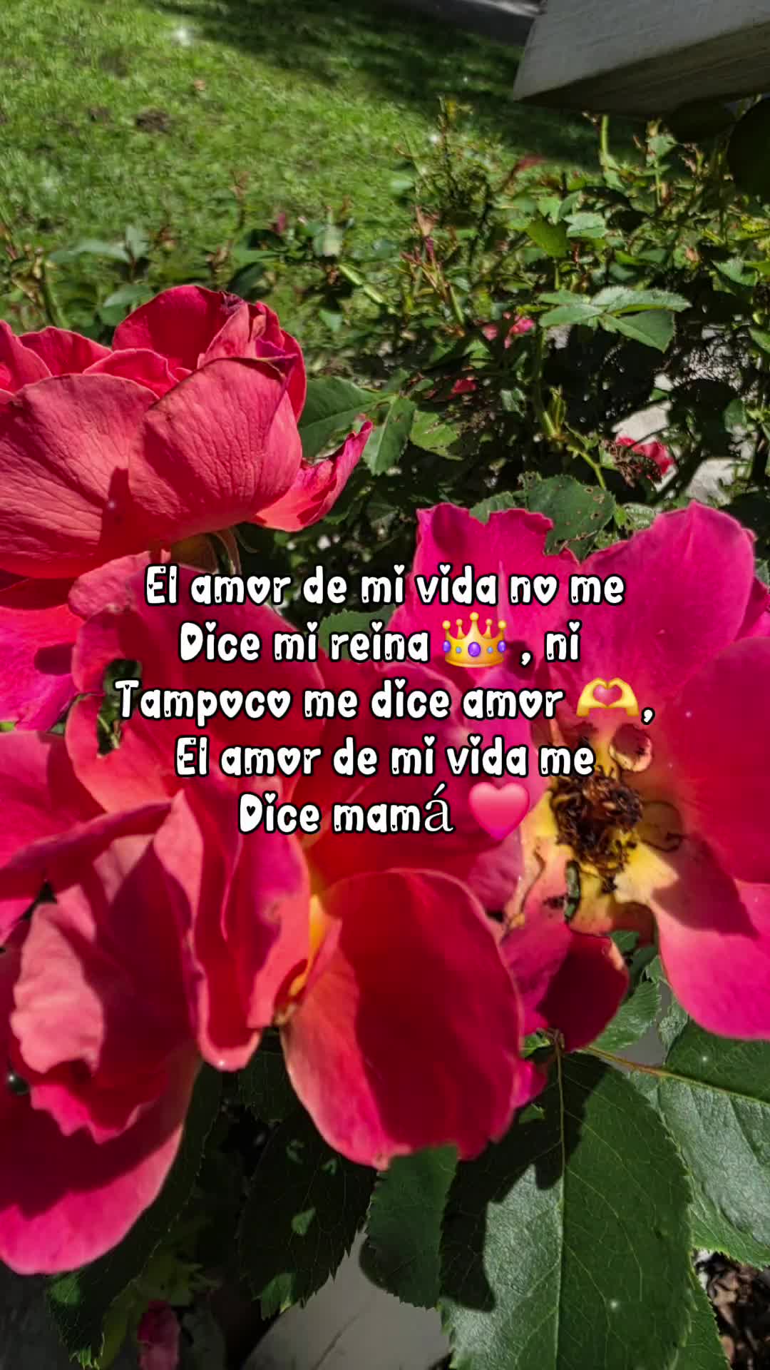 @Guerrera de Dios🙏🏻❤️