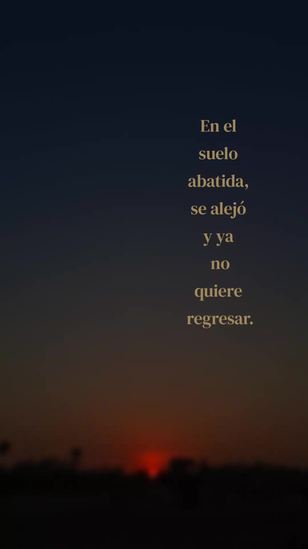 @M&oacute;nica Rodr&iacute;guez✨