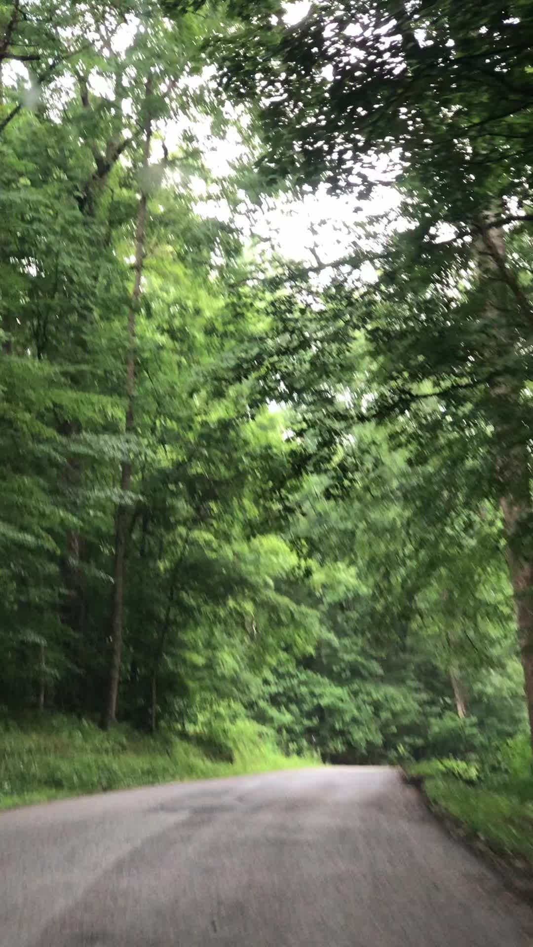 @robinfrazier40