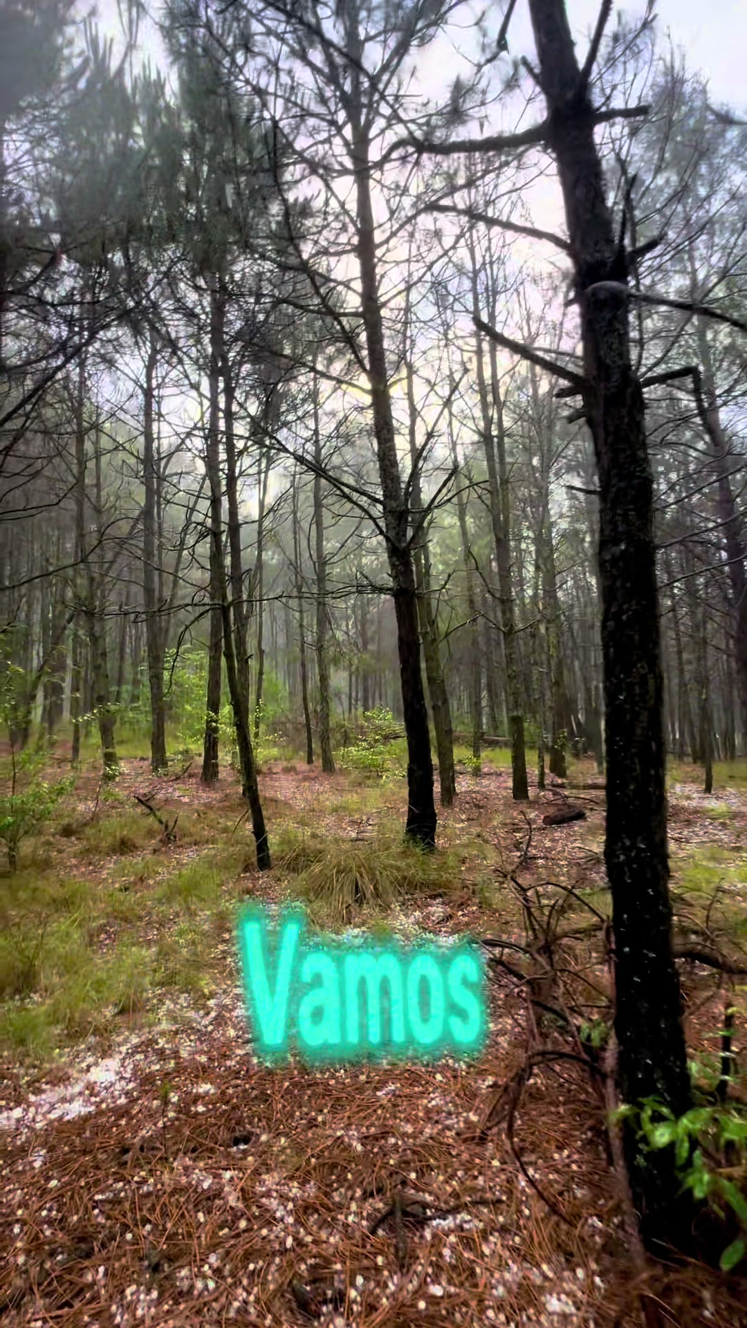 @Caminos y Senderos  Mtb & Camp