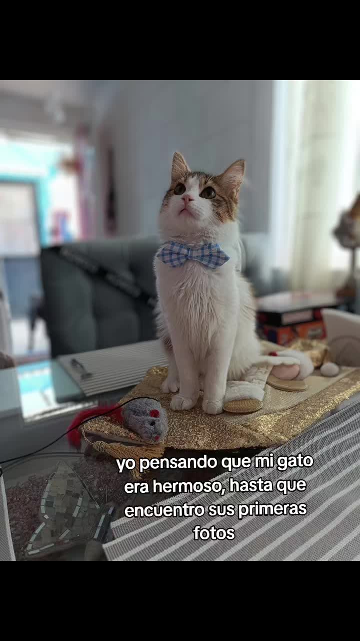 @Lasinquehacer😜