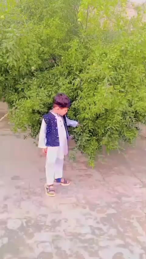 @hasnain g