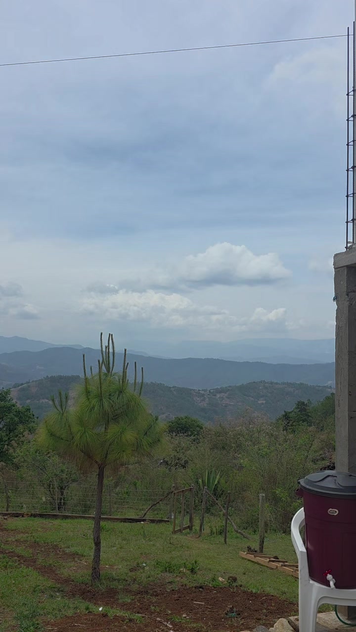 @Nueva Alianza SAS