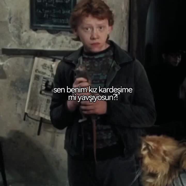 @⋆˚꩜。꧁ romione ꧂。꩜˚ ⋆