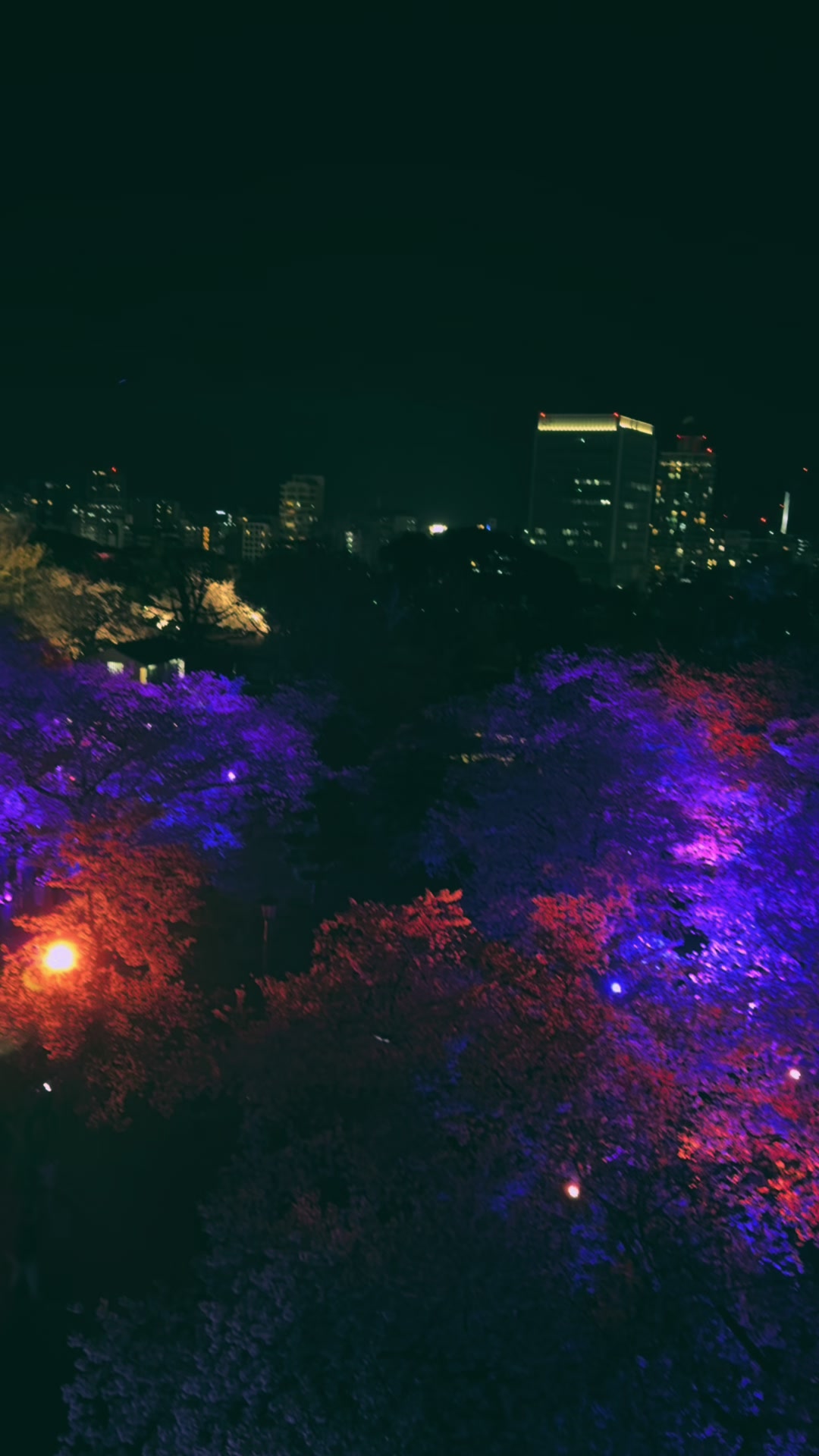 @タンタンソー🇯🇵