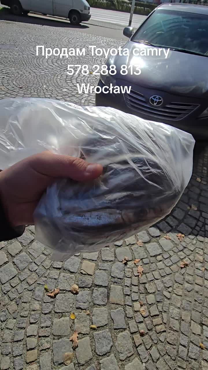 @Arti_AutografⓂ️