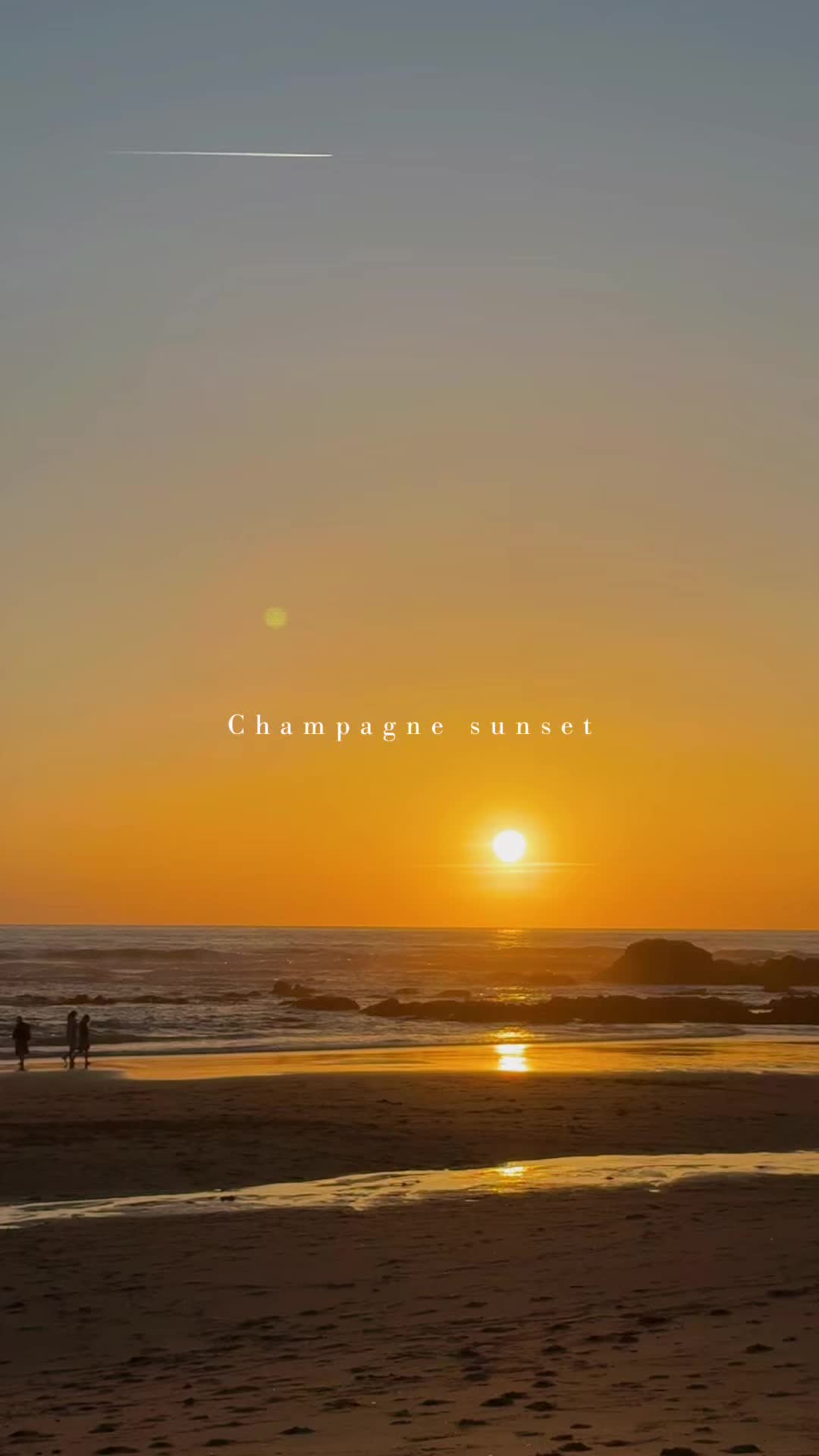 @Savor Society Lifestyle