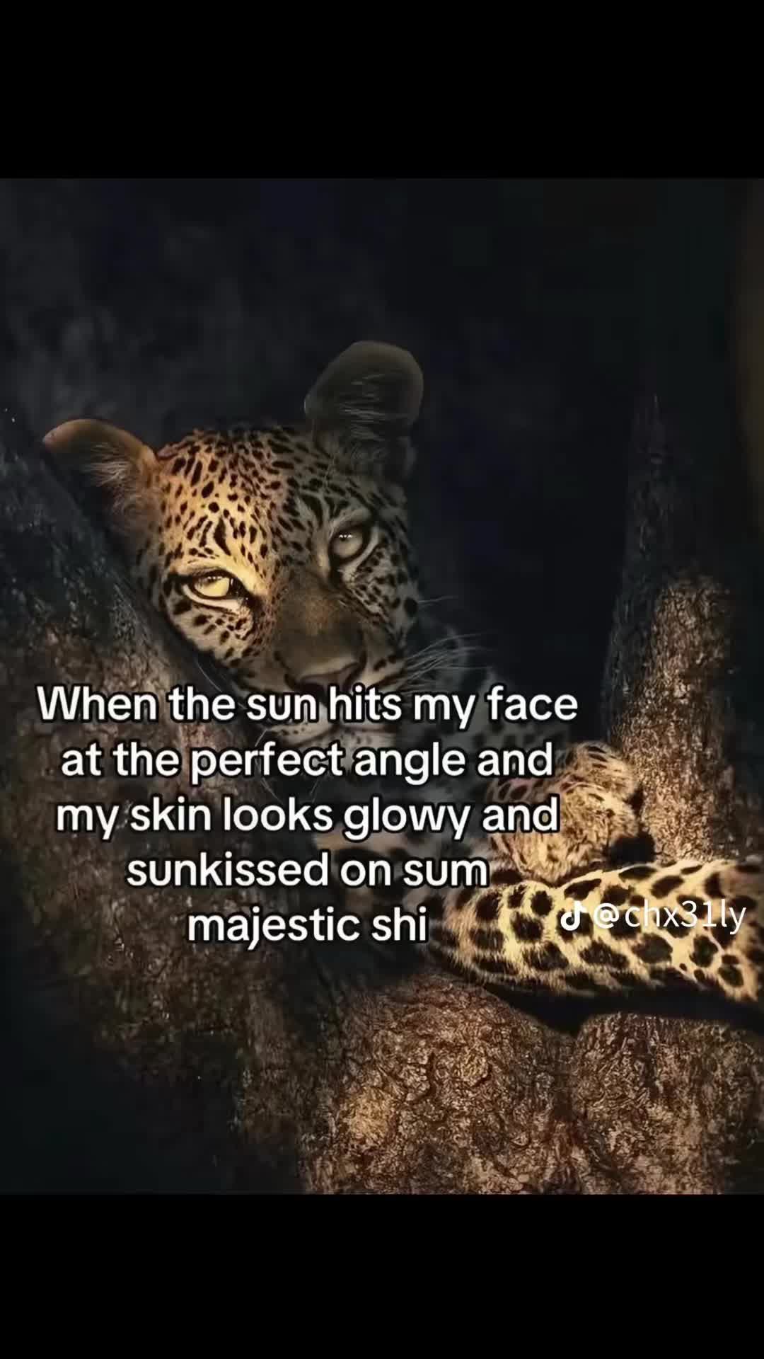@kayxospamsss
