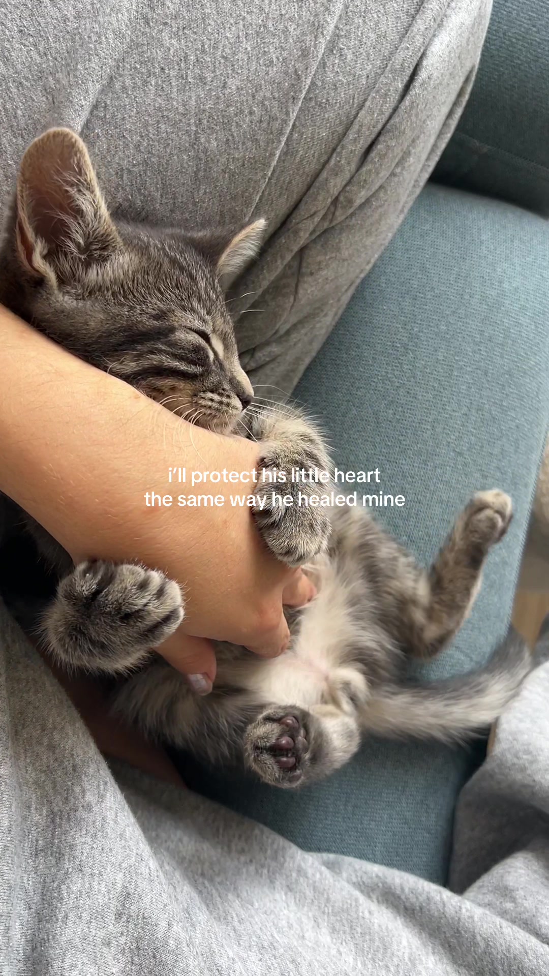 @lilcatloki
