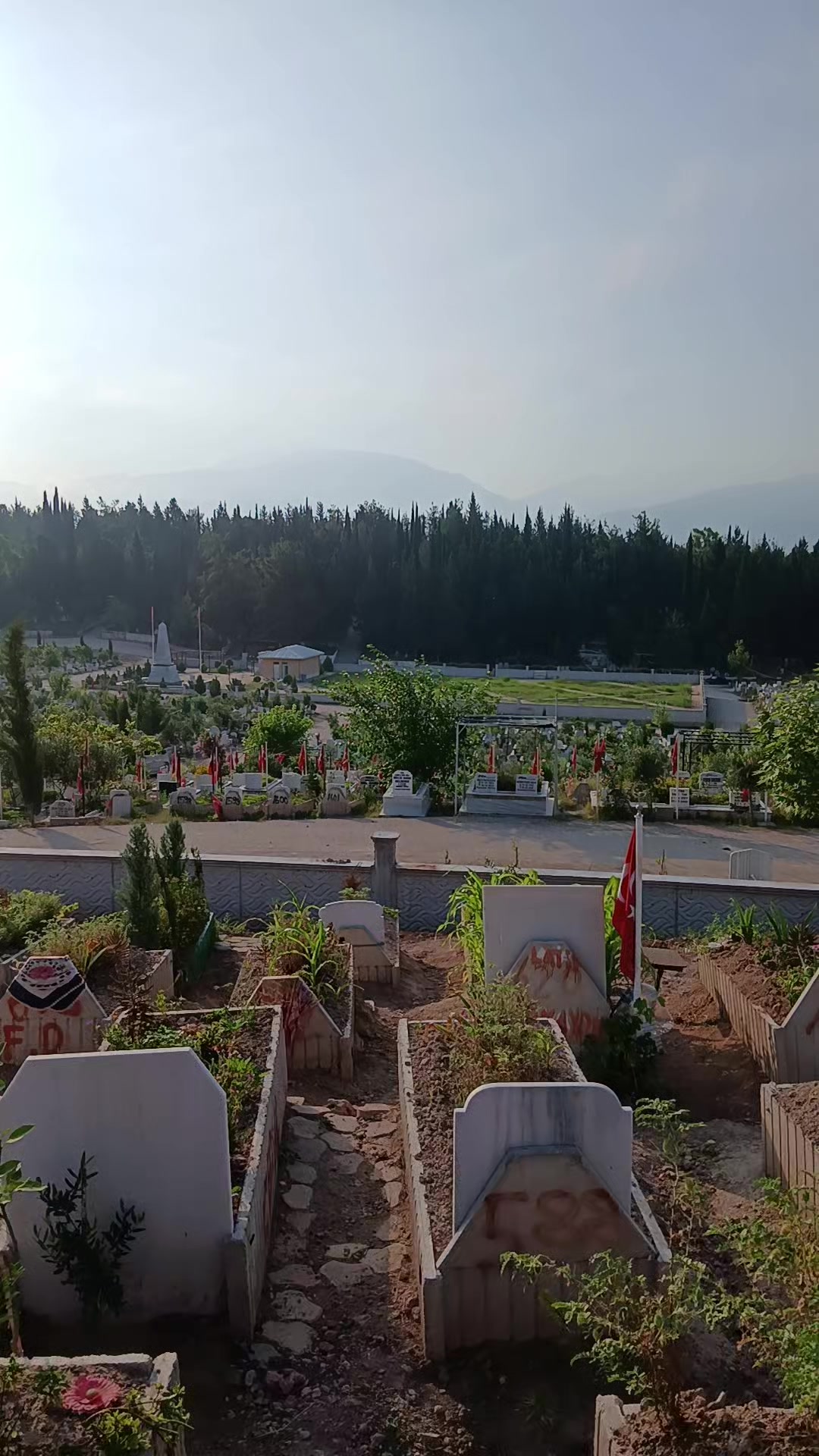 @yalnız adam1980