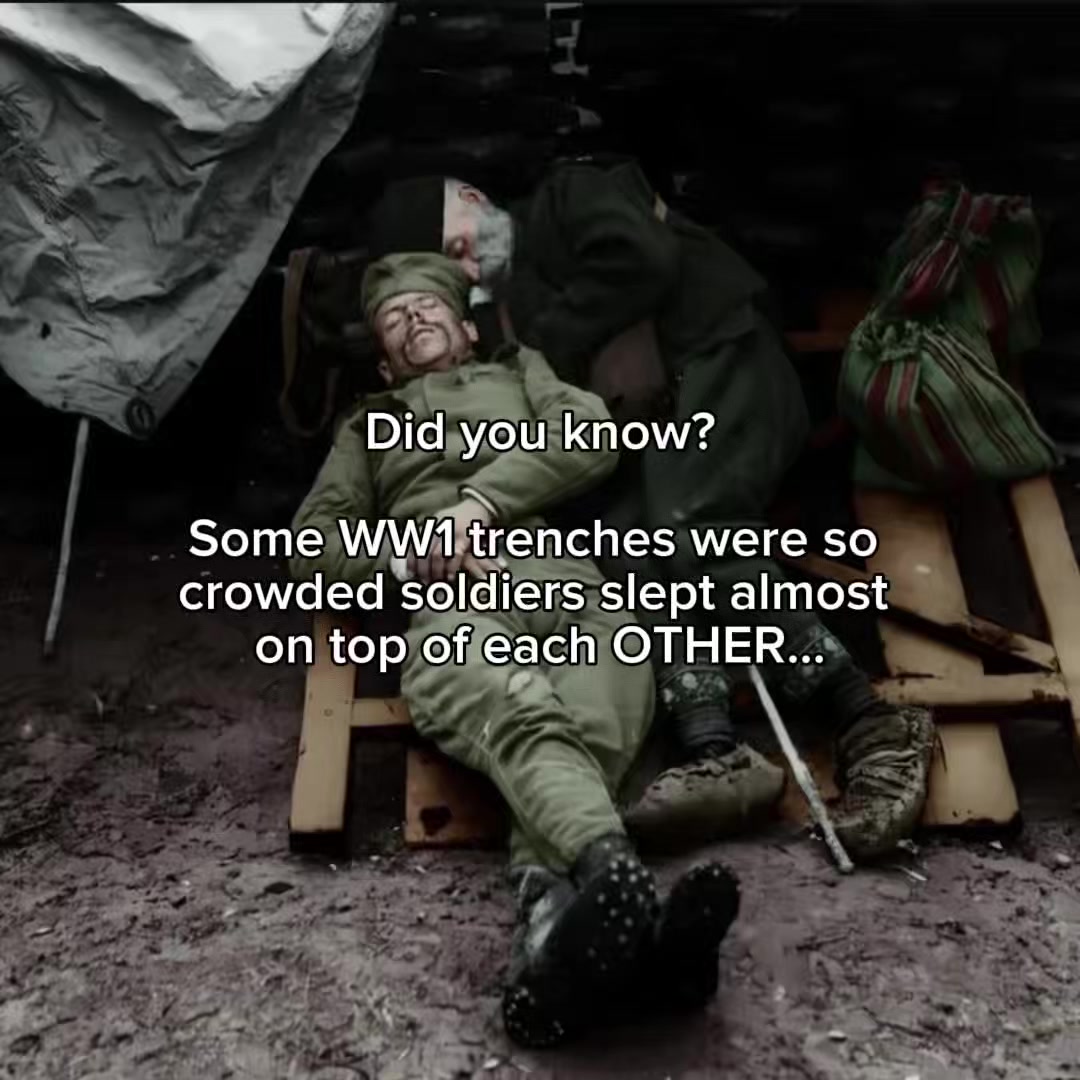 @History Soldier🪖