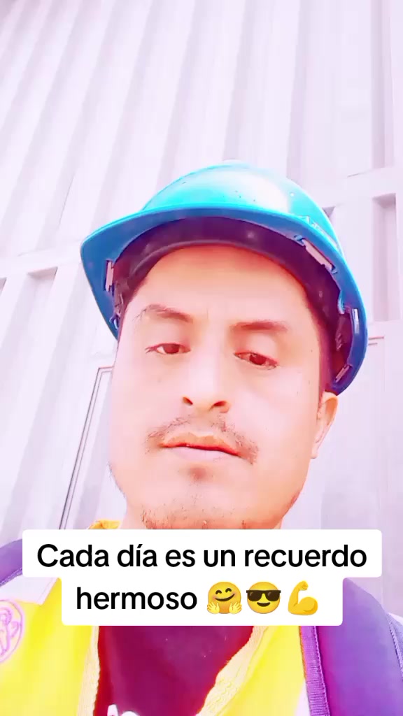 @Le&oacute;ncito-fiel🦁🇵🇪🦁