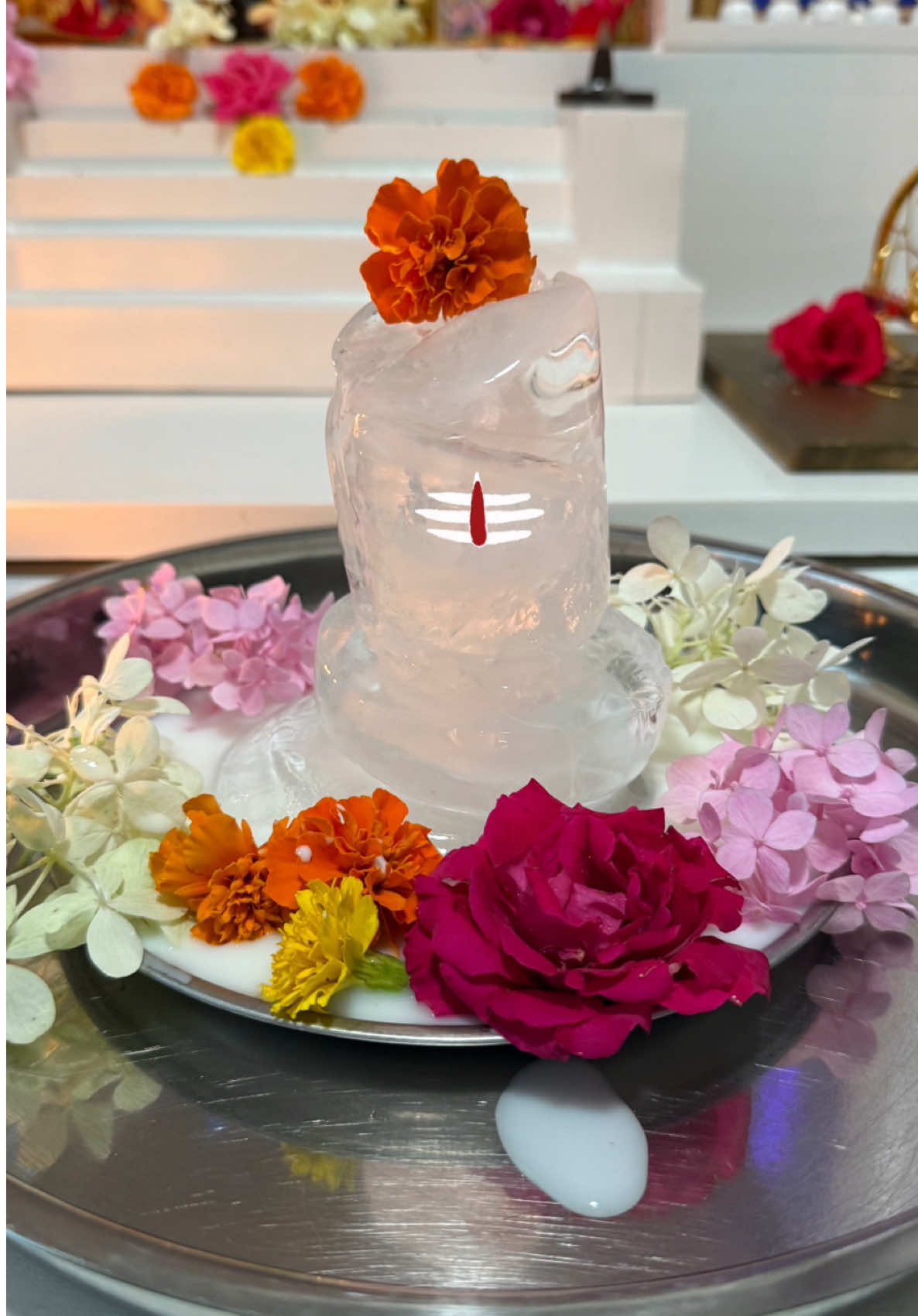 @Vrutisha Patel-Dalwadi (VP)