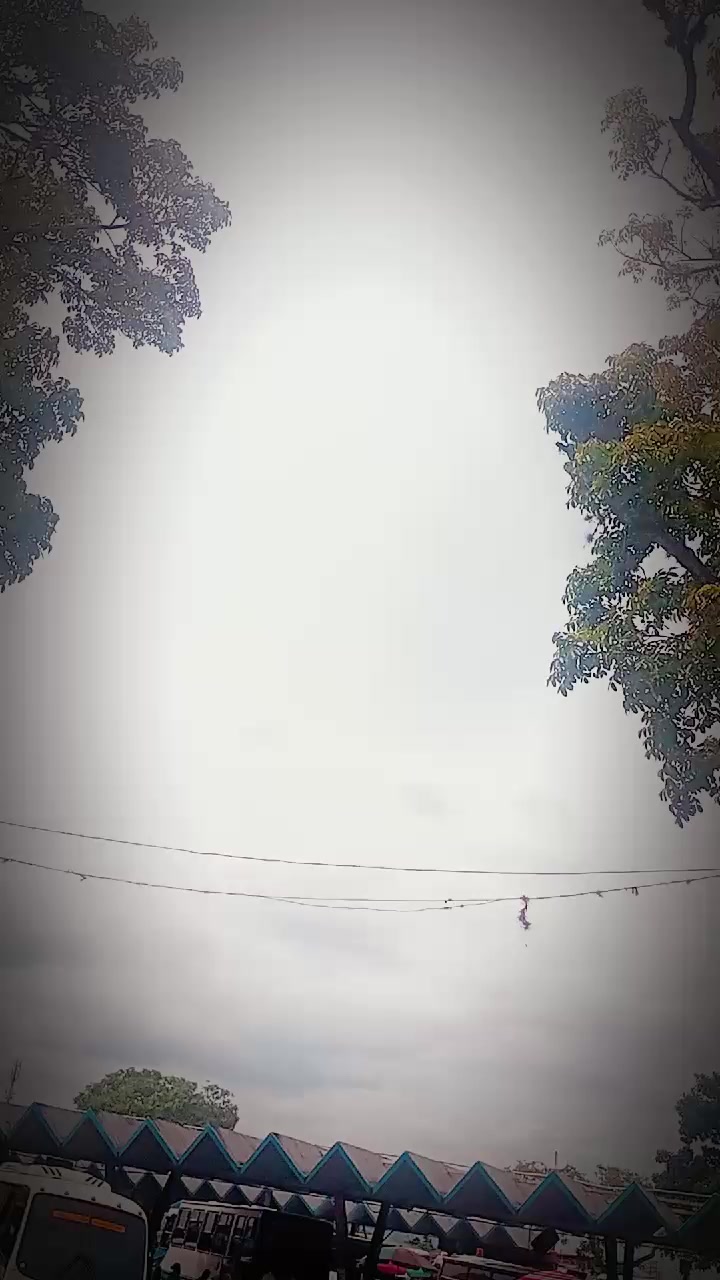 @☠︎ 𝕬́𝖓𝖌𝖊𝖑 𝕿𝖔𝖚𝖗𝖘 ☠︎