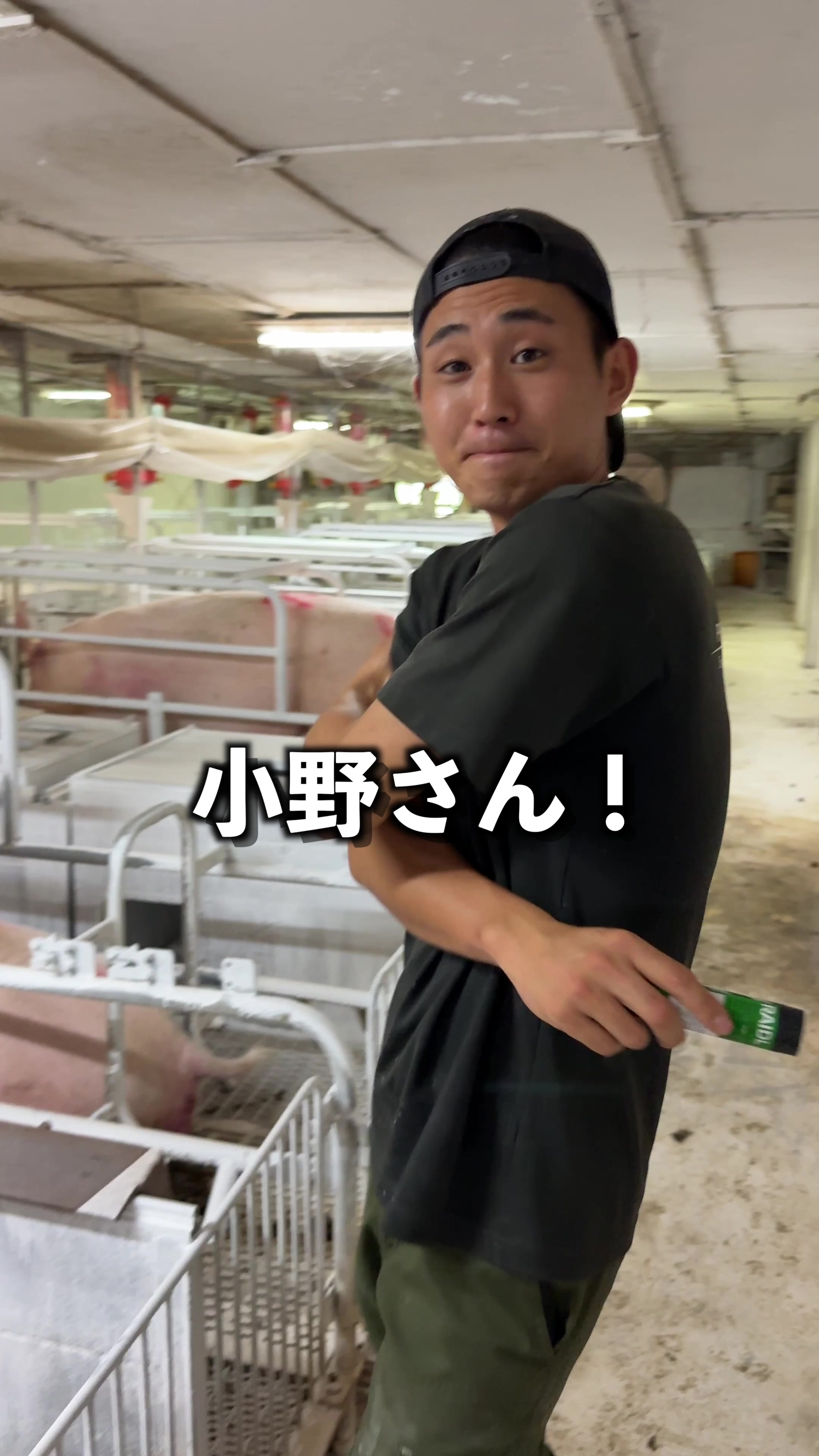 @小野友也ブタのお兄さん『命の恵』