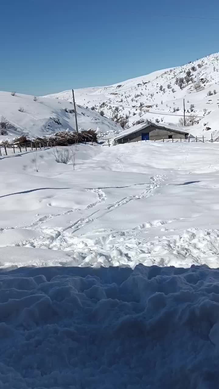 @Kemal Erez