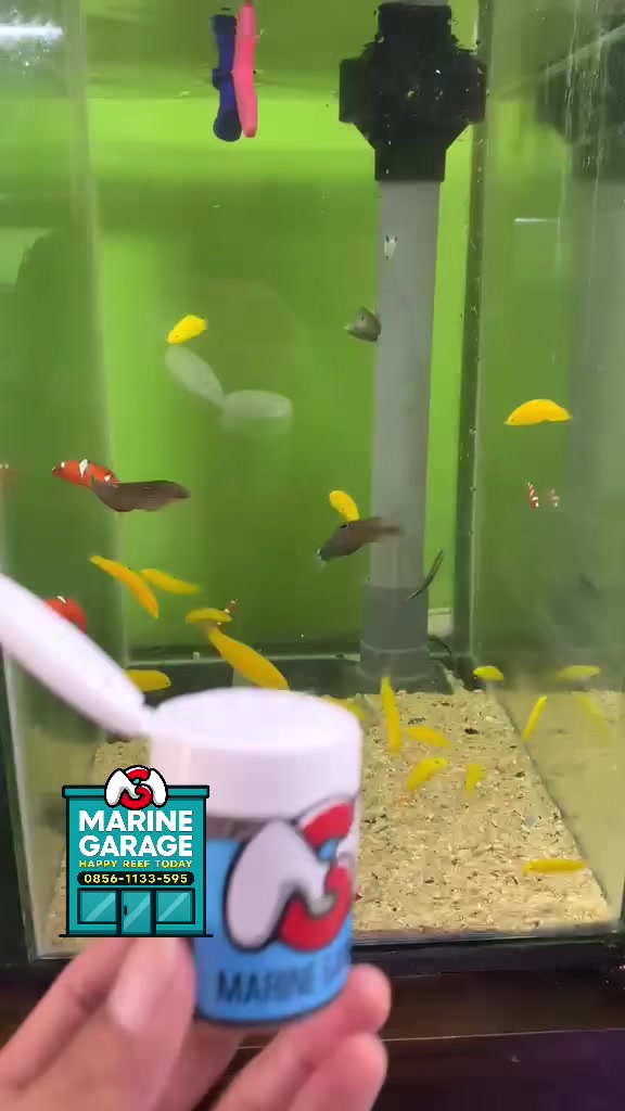 @Marine Garage