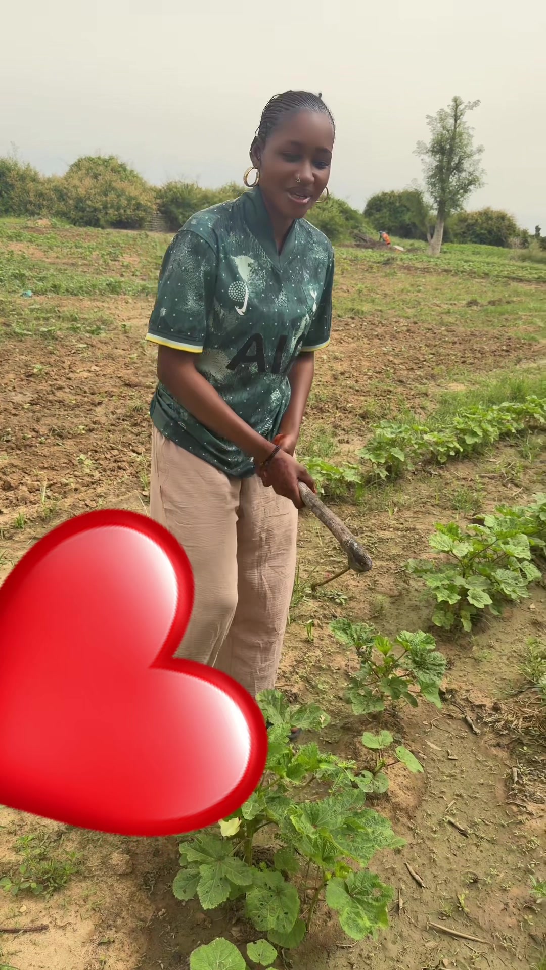 @Awiska Tangara