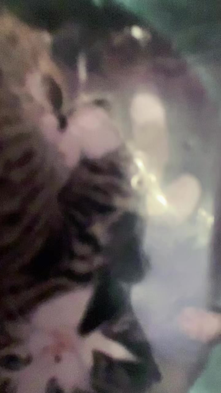 @kat_gurl